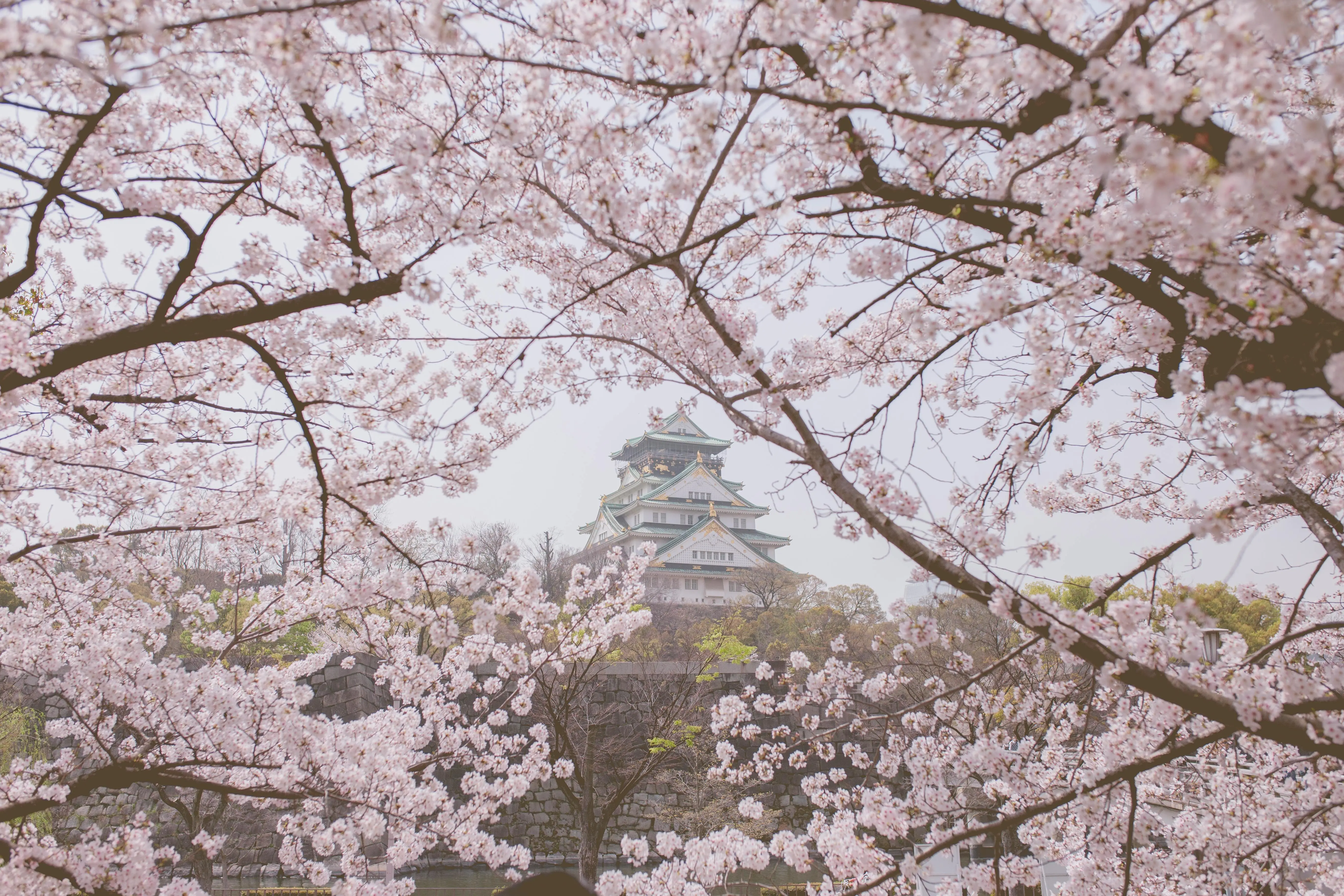 home-banner-background